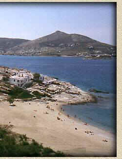 Manis Inn - General View